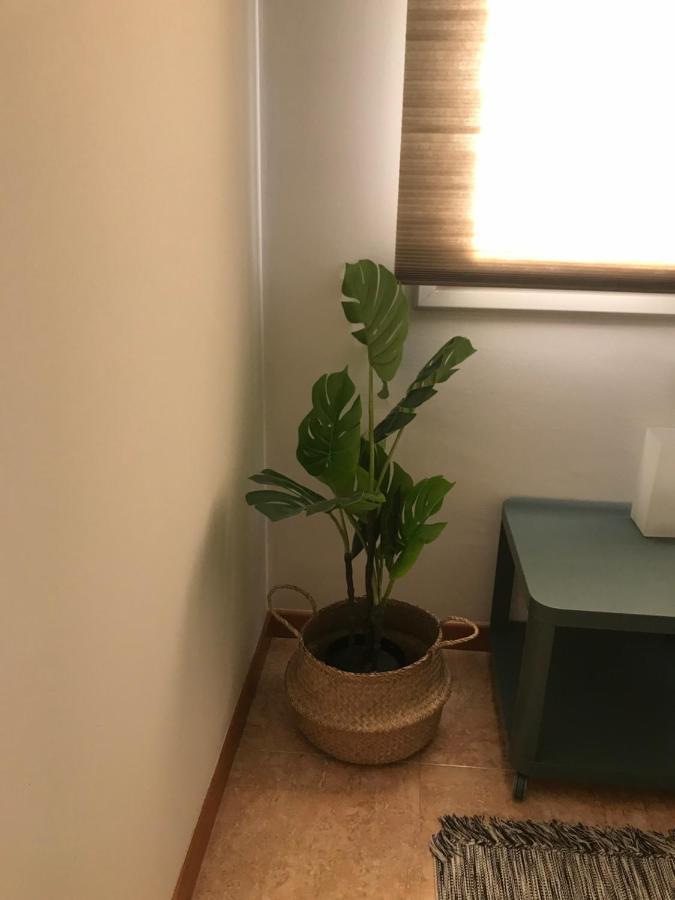 Apartamento Recien Reformado Con Vistas Al Rio Balaguer Exteriör bild